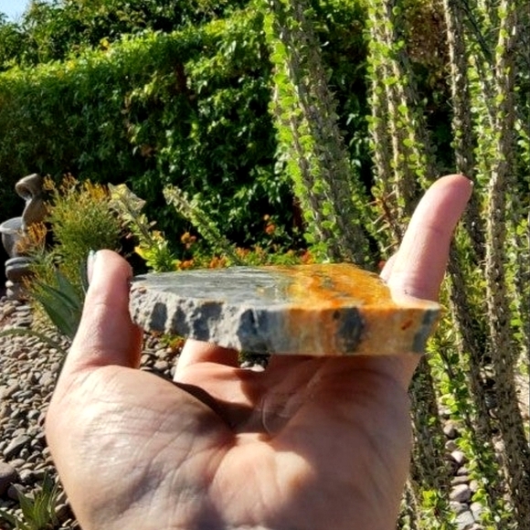 BIG, Bold Bumblebee Jasper Slab w/ stand - Indonesia - Picture 6 of 6